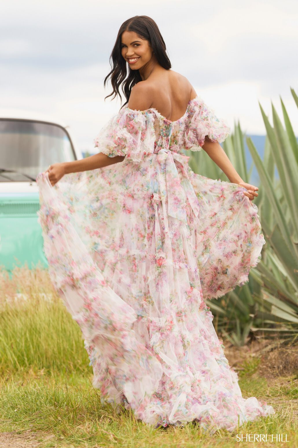 SHERRI HILL - 55541