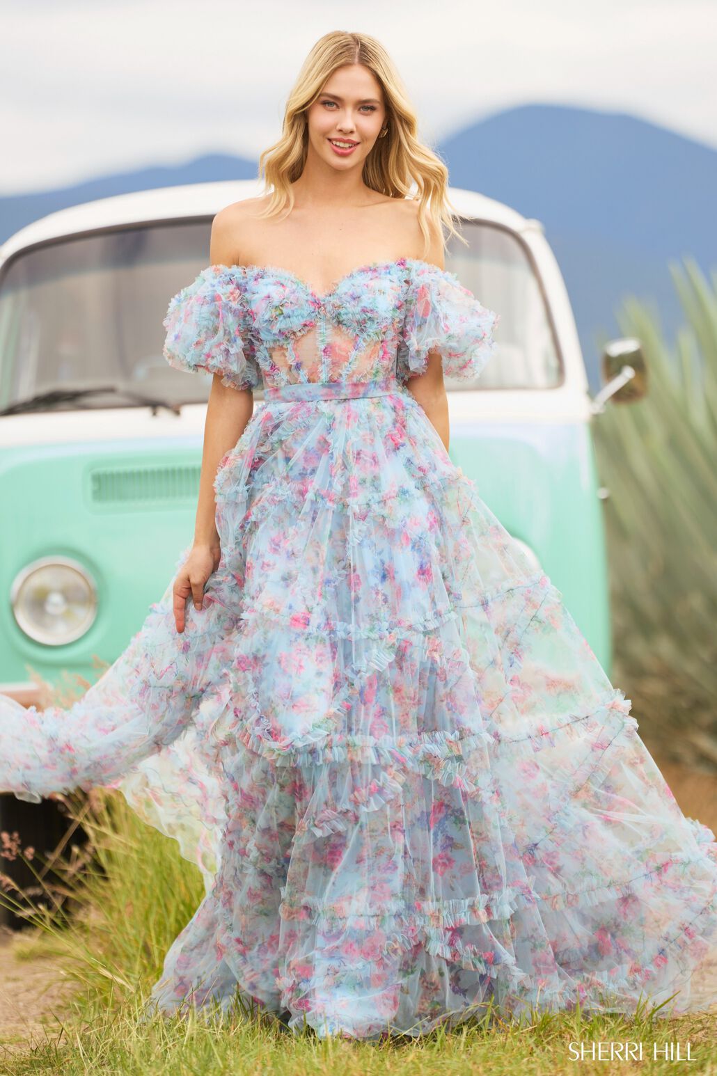 SHERRI HILL - 55541
