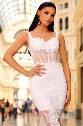 Nicoletta NC1031 Sequin and Lace Embroidered Evening Gown - A stunning evening gown featuring a fitted silhouette, sheer train and bodice with intricate sequin and lace embroidery, and an open lace-up back.